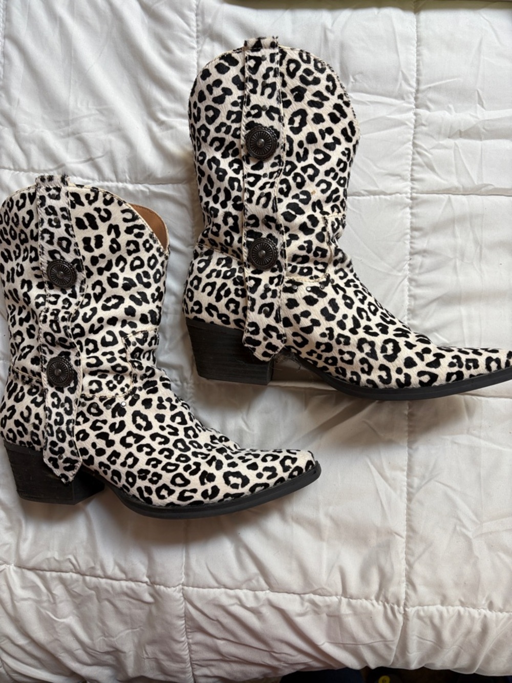 dingo Leopard Print cowboy Boots - Black & White